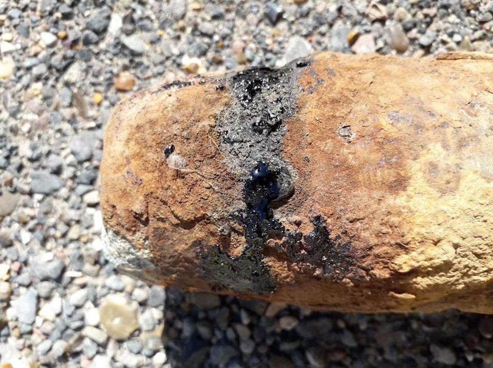 Close-up of an unexploded mustard gas projectile discovered in Belgium.