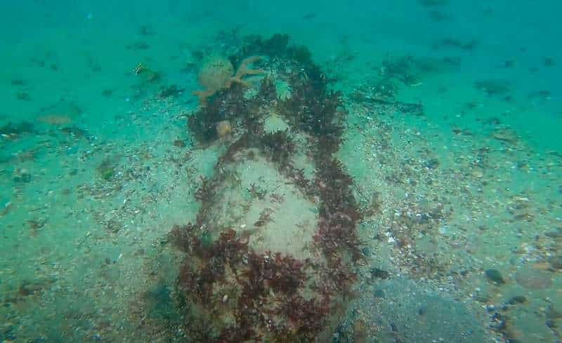 WWII-era Depth Charges discovered on the seabed in Guernsey. Image source: Guernsey News