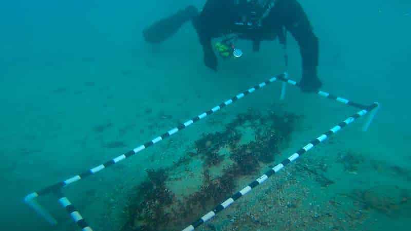 Diver with a cordon around a WWII-era Depth Charge discovered on the seabed in Guernsey. Image source: Guernsey News