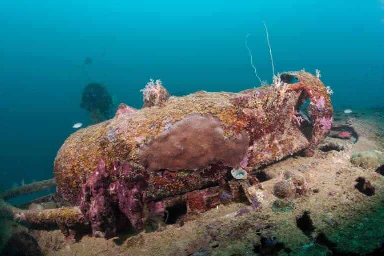 Image of Unexploded Ordnance (UXO) in the marine environment at Dauntless Dive Bomber Wreck, Solomon Islands