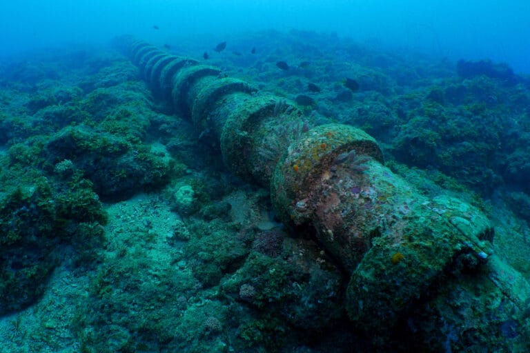 Undersea water pipe located near coral reef in the marine environment