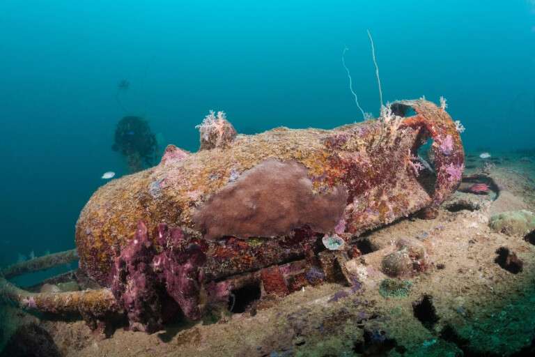 Unexploded Ordnance (UXO) found in the Ocean